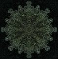Acid Cattle EP