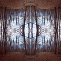 ZOOM YOURSELF voOol. 7