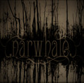 narwhale