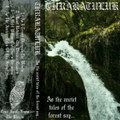 As The Ancient Tales Of The Forest Say (forest synth)