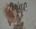 Amygdala