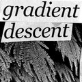 gradient descent