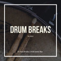 Drum Breaks by Infest