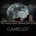 The Echoing Heart