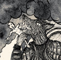 Sei Wolf