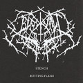 Stench // Rotting Flesh