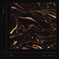 Tiempo Album
