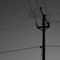 Collection of untitledness (Demo 2020)
