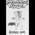 Visionary Love