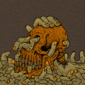 Second-Hand Apes