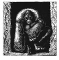 Kong Saves