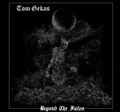 Beyond The Fallen (Unreleased Demo)