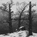 Два Одиночества (Single)
