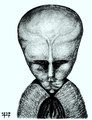 cabal
