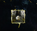 Sang Noir EP