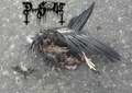 Dark Sorrow