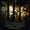 Spirit Of The Forest