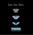 Phalena