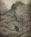 DEMO Tapes