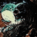 Parasites of the Universe