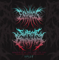 Banished By The Fury Of The Omnipotent Tormentor (Split)