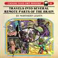 Travels Into Several Remote Parts of the Brain  [ALBUM 2021]