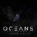 The Sound of Your Voice