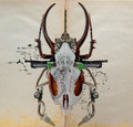 [BTB007] Split EP (12'')