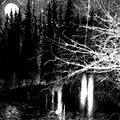Black Hearts of Misanthropic Benevolence
