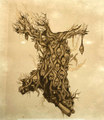 Anchorite