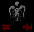 Saastunut - Pohoron Split