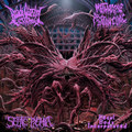 4-way Split 2017
