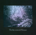 On the ruins of Aleppo