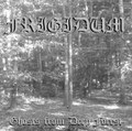 Ghosts from Deep Forest