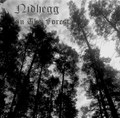 In The Forest (Demo)