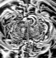 Horla/Wytchfilth