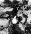 Cosmic Pyre