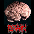 Brain