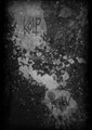 Kolp/Leiru split