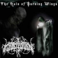 The Halo of Burning Wings