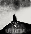 Demo Session IX - Flesh Ritual
