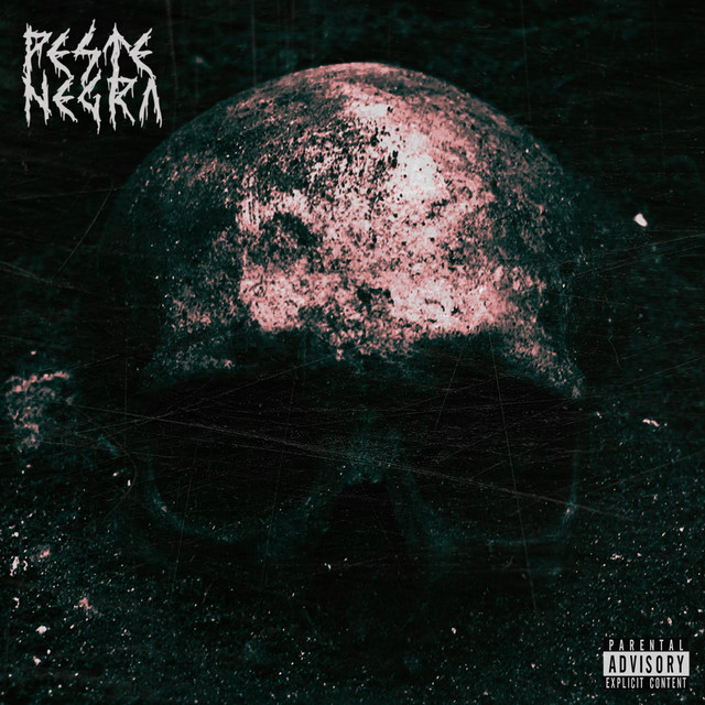 Peste Negra