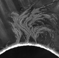 Absolute Release EP