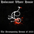 The Decomposing Demos of 2023