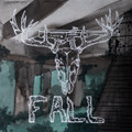 Fall
