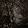 Empty Rooms (Single, 2024)