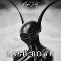 LASH DOWN