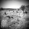 Neblig Angst (Demo)