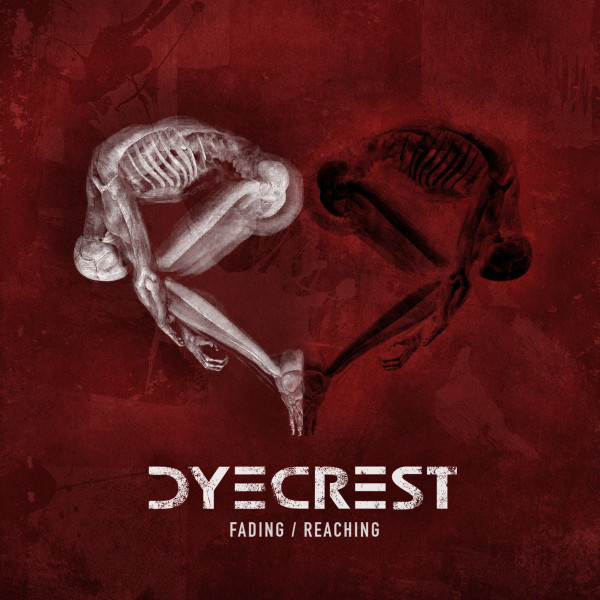 Fading / Reaching (Single Version)