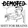 Shit For Brains